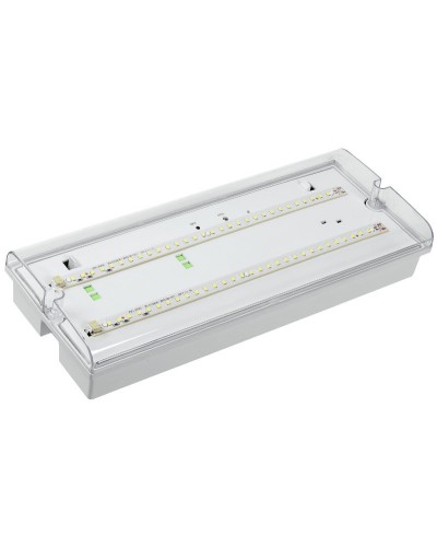 Светильник аварийный ДПА 5042-3 3ч IP65 LIGHTING (LDPA0-5042-3-65-K01). Светильник аварийный универсальный. IEK в Казани