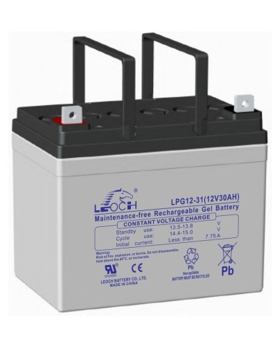 LEOCH LPG 12-31. Аккумулятор герметичный свинцово-кислотный. LEOCH в Казани