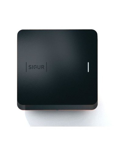 Sigur MR100 Multi. Считыватель. SIGUR в Казани