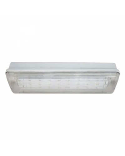 SL-223-30LED1.8 исп.1 IP54. Светильник аварийного освещения. ИП Раченков А.В. в Казани