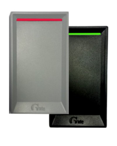 Gate-Reader-EH. Считыватель. Равелин в Казани