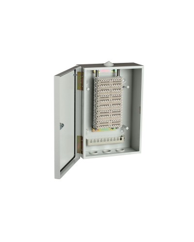 ШРН-В/100-Р (120908-00122). Шкаф ШРН-В/100-Р, плинт ПВТ-10Р-5е. ССД (Связьстройдеталь) в Казани